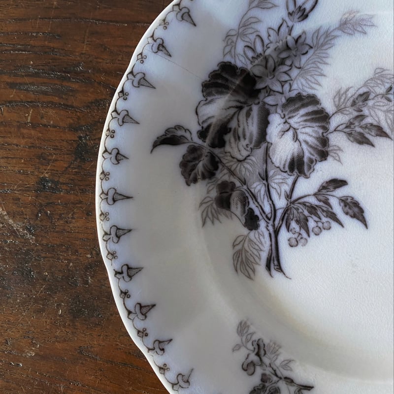 サルグミンヌ フローラ 平皿 リム皿 φ20.4cm フランス