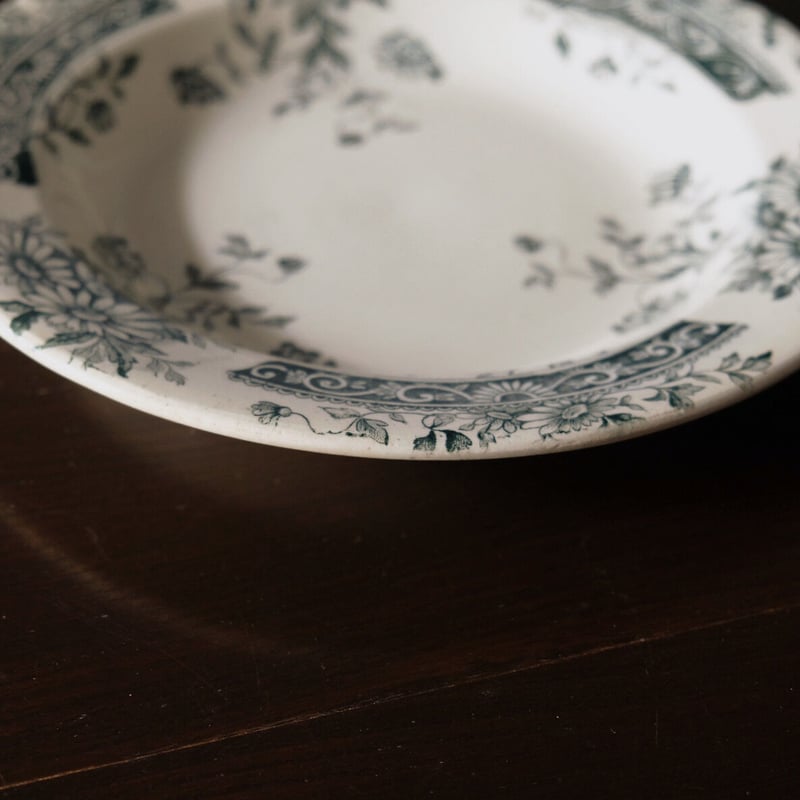 サラン SALINS 深皿 リム皿 φ24.2cm フランス アンティーク a 060003