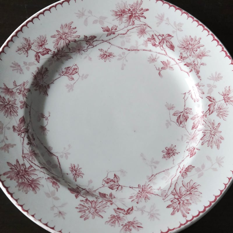 Creil & Montereau ミニャルディーズ 平皿 デザート皿 φ20.5cm クレイ