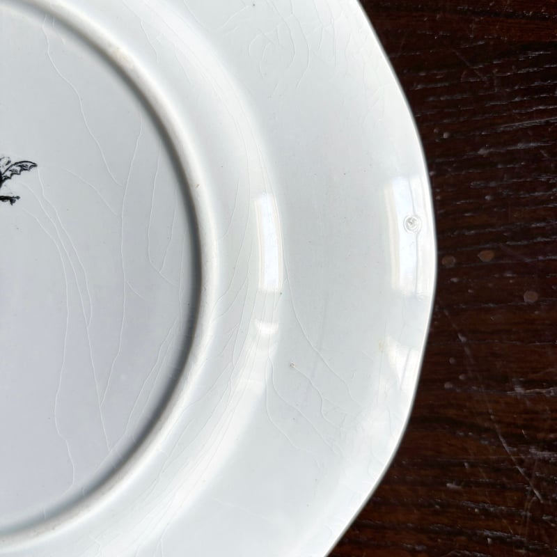 ジョルジュ・サンドのいちご皿 FRAISE クレイユモントロー A *状態良 ジョルジュ・サンドのいちご皿 FRAISE クレイユモントロー A *状態良