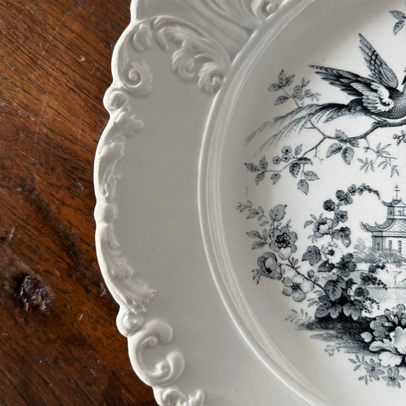 David Johnston ボルドー 花鳥柄 グリザイユ皿 レリーフ 平皿