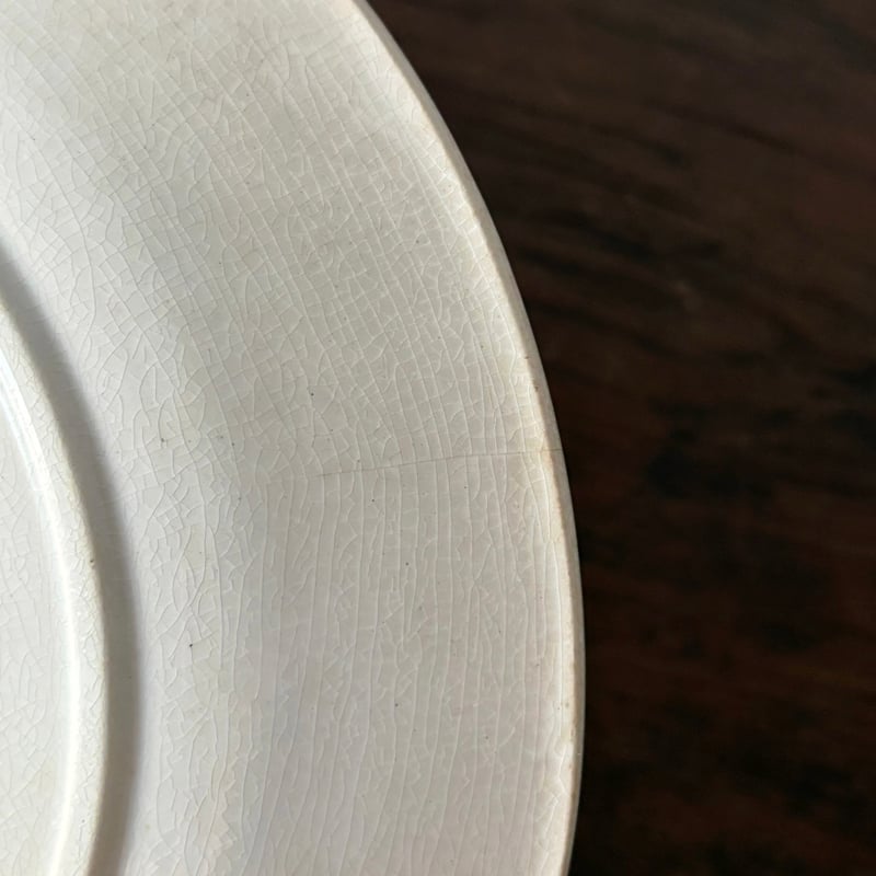 U&C sarreguemines サルグミンヌ カルメン デザート 皿 平皿 φ21cm フ