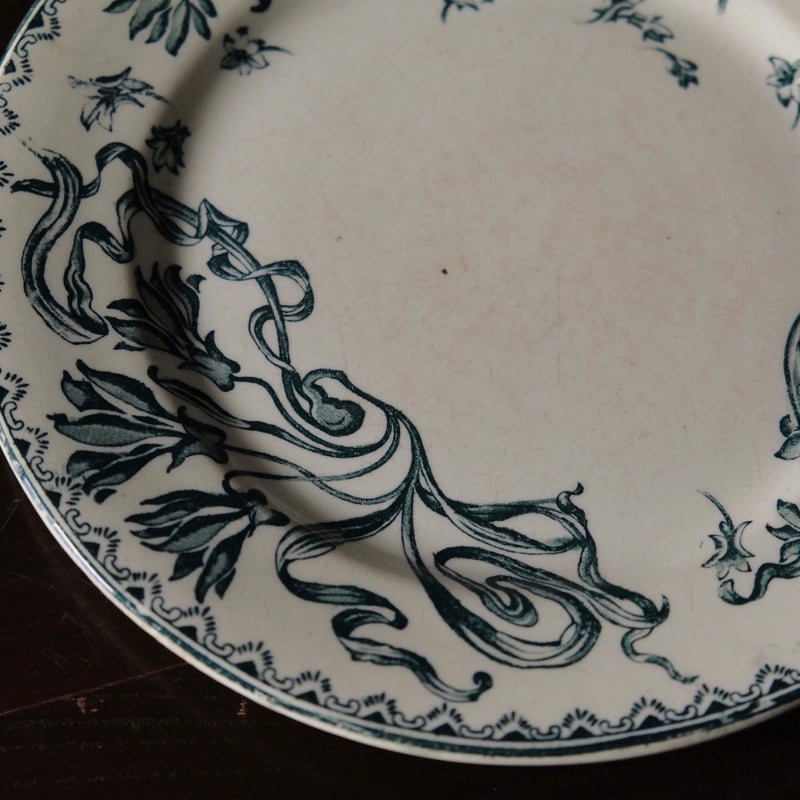 サラン Salins Herbier エルビエ 押し花柄 デザート 皿 φ21.5cm フラン