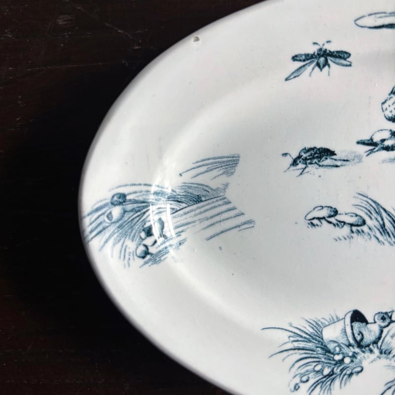 ディネット オーバル皿 楕円皿 おそらく リュネビルフランス