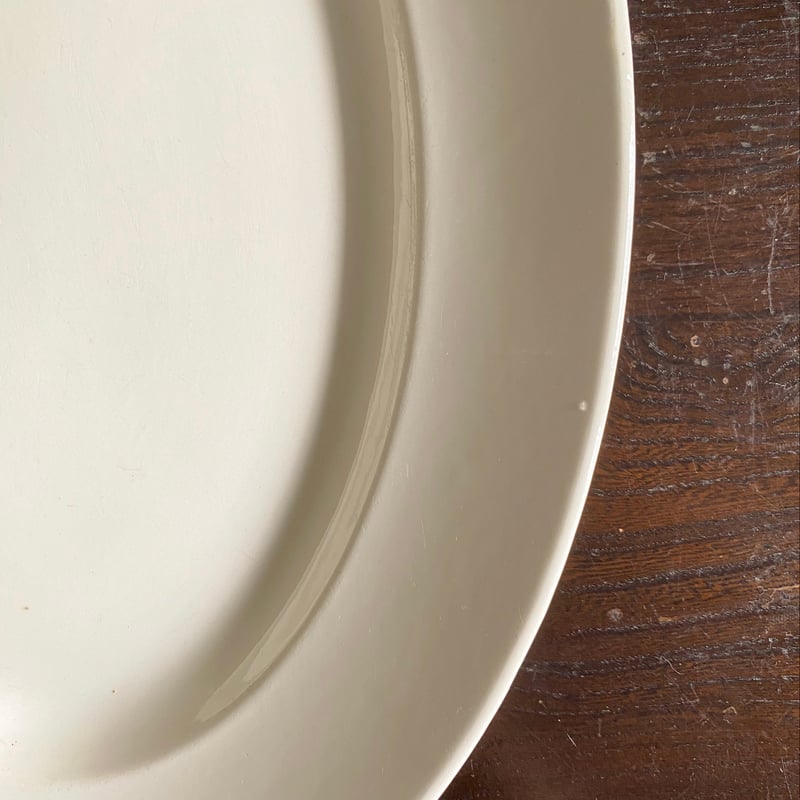 ディゴワン & サルグミンヌ オーバル 皿 楕円皿 大皿 フランス