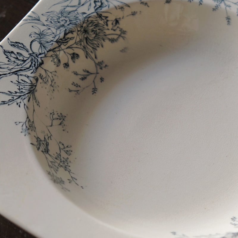 1800年代後期 イギリス M&C ボタニカル柄 オクトゴナル深皿