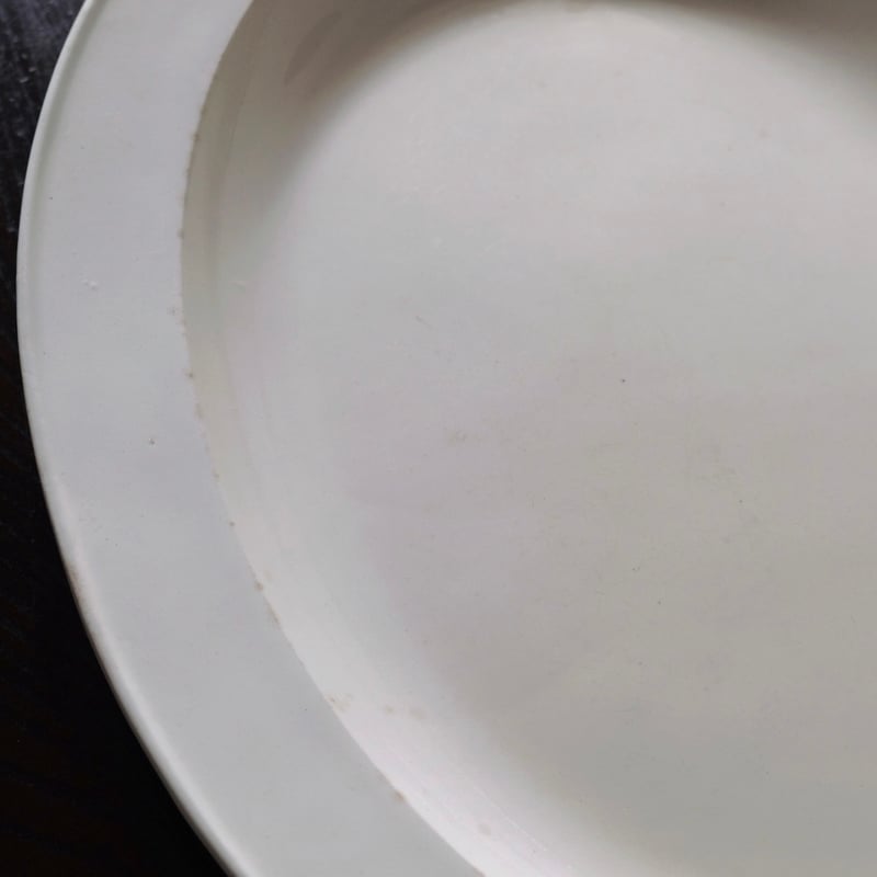 美品フランス19世紀　美しい白オーバル皿　ペクソンヌ　アンティーク 白のポワソン（お魚用）オーバルプレート（17.5x49.5cm