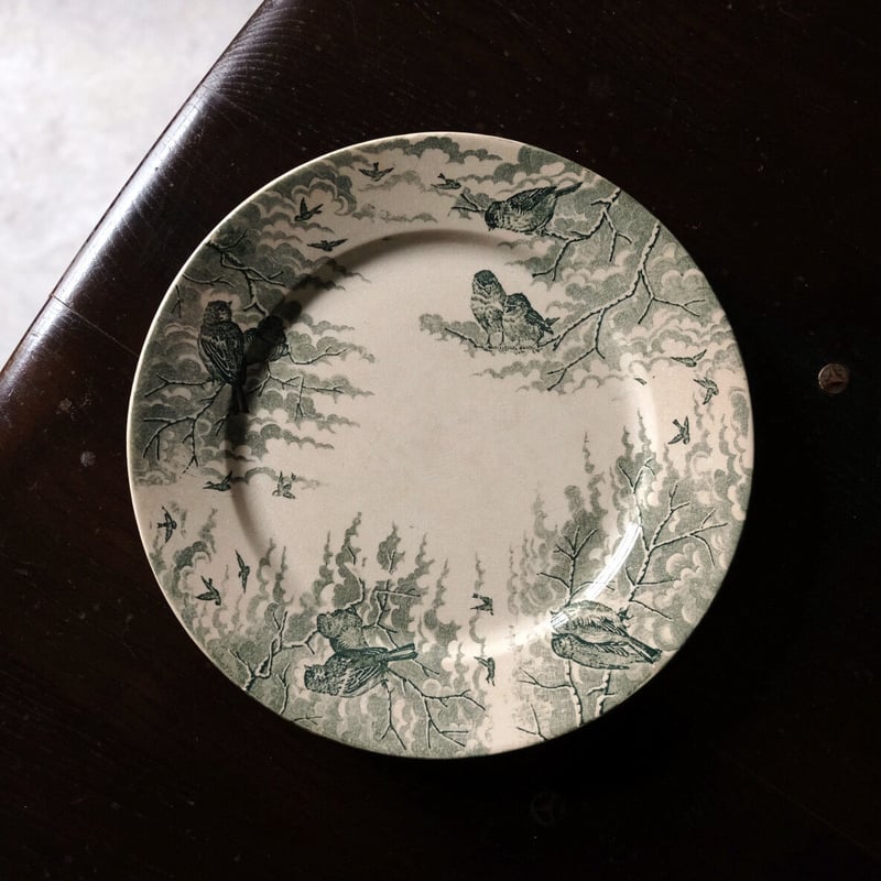 サルグミンヌ ネージュ SARREGUEMINES NEIGE 平皿 リム皿 φ23.5cm