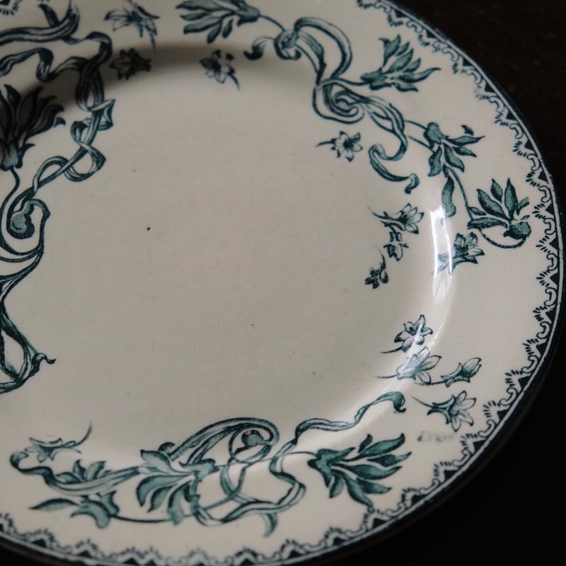 サラン Salins Herbier エルビエ 押し花柄 デザート 皿 φ21.5cm フラン