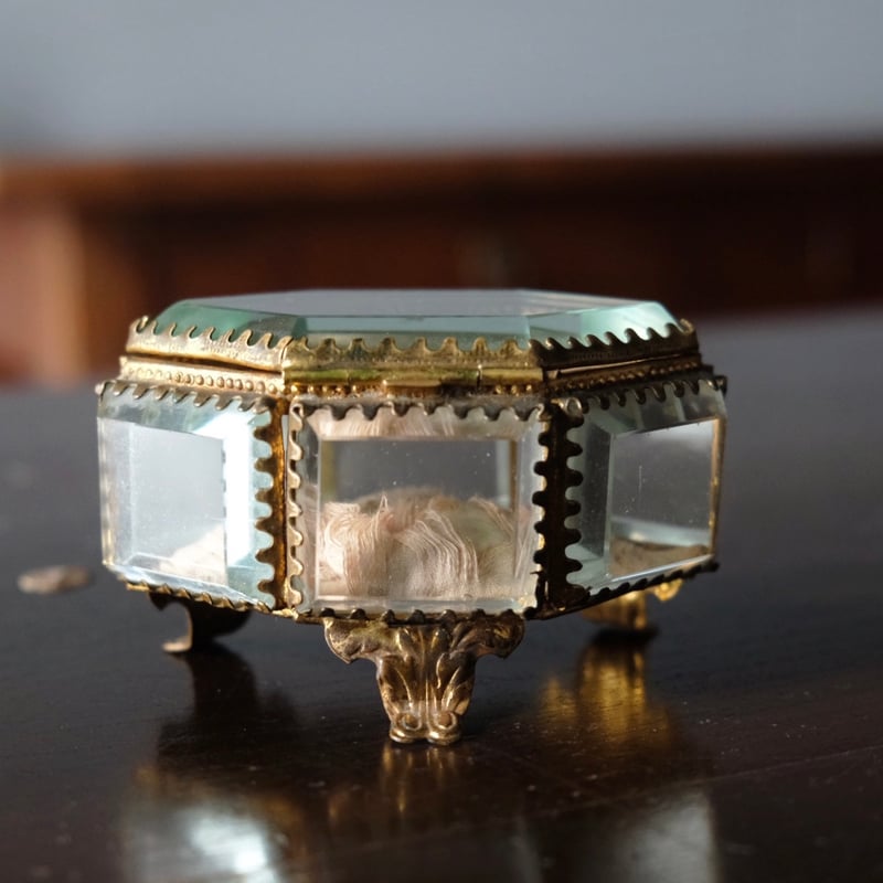 ジュエリーボックス フランス アンティーク 0501713 | jinen_antique ジュエリーボックス フランス アンティーク 0501713 | jinen_antique