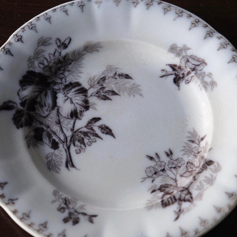 サルグミンヌ　FLORE フランス アンティークプレート フランスアンティーク サルグミンヌ プレート アンティーク