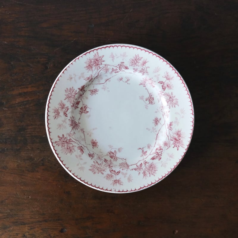 Creil & Montereau ミニャルディーズ 平皿 デザート皿 φ20.5cm クレイ