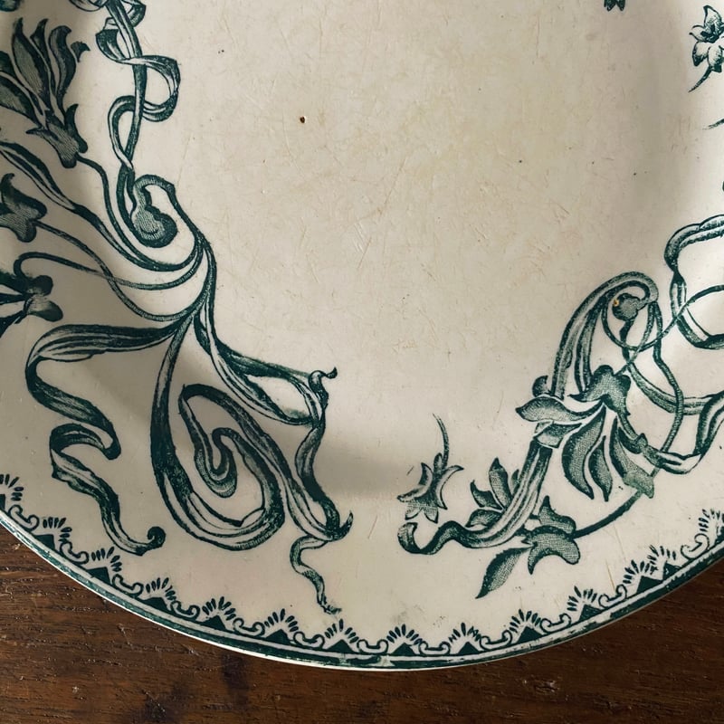 サラン Salins Herbier エルビエ 押し花柄 デザート 皿 φ21.5cm フラン