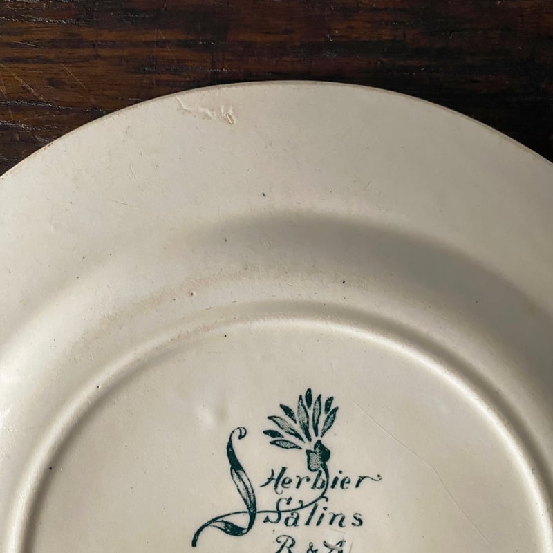 サラン Salins Herbier エルビエ 押し花柄 デザート 皿 φ21.5cm フラン