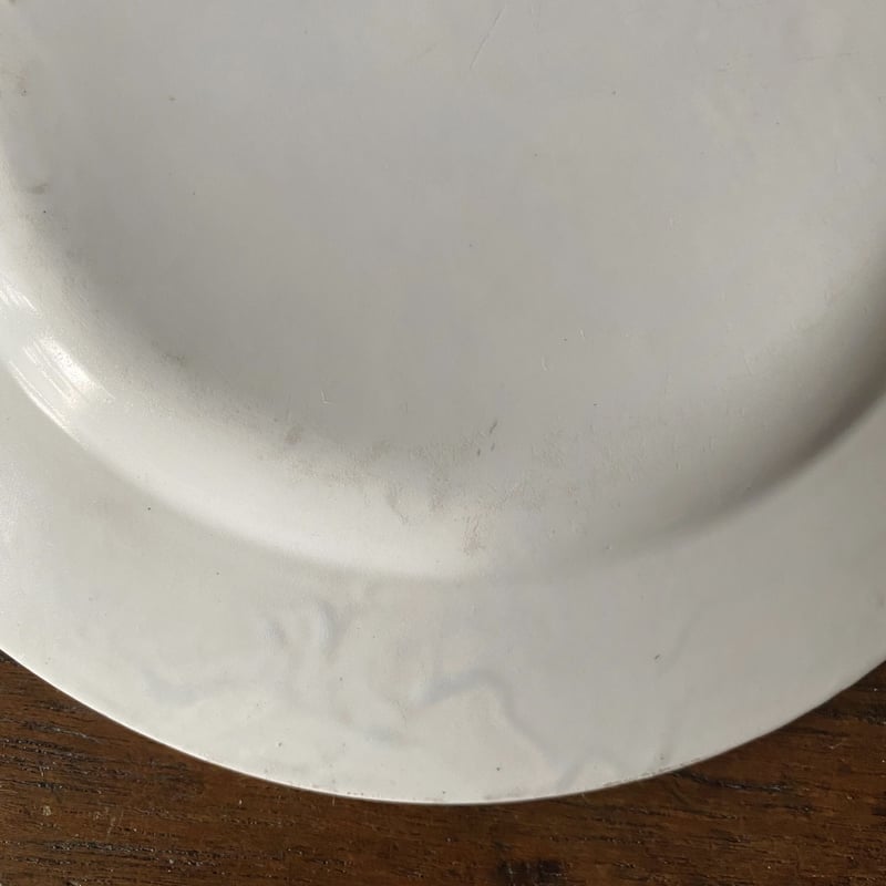 ショワジールロワ Choisy le roi 平皿 リム皿 φ20.8cm なそなぞ ショワジールロワ Choisy le roi 平皿 リム皿 φ20.8cm なそなぞ