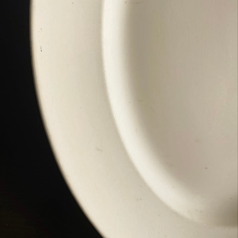 ディゴワン & サルグミンヌ オーバル 皿 楕円皿 大皿 フランス