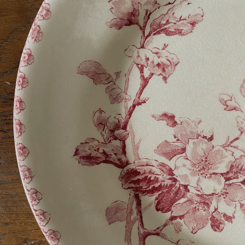 ジアン Fleurs Normandes 平皿 アンティーク 140007 | jinen_a