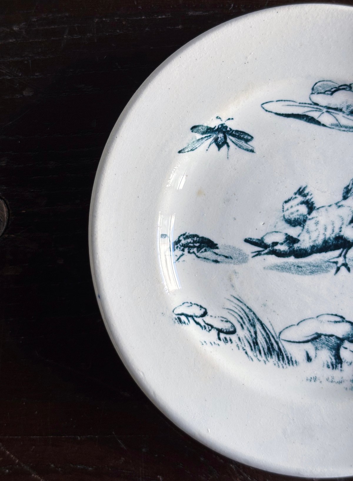 フランスアンティーク リュネヴィル窯 カップ & ソーサー ディネット 小鳥と花 フランスアンティーク リュネヴィル窯 カップ & ソーサー ディ