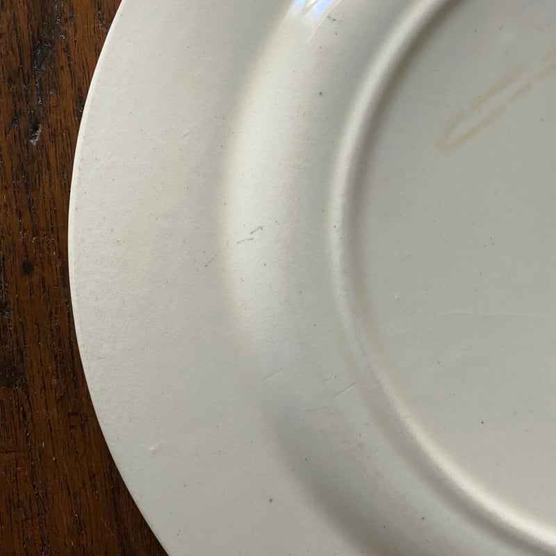 サラン Salins Herbier エルビエ 押し花柄 デザート 皿 アンティーク b