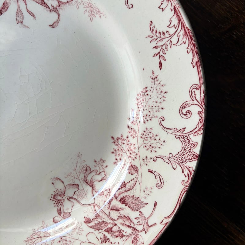 ショワジールロワ フロレアル Choisy le Roi FLOREAL 平皿 φ22cm ショワジールロワ フロレアル Choisy le Roi FLOREAL 平皿 φ22cm