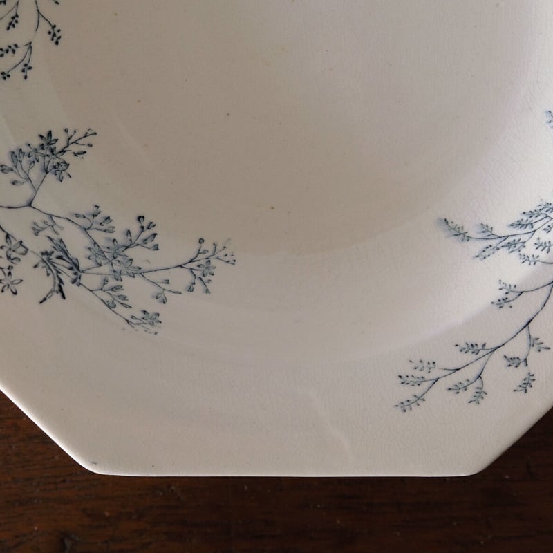 1800年代後期 イギリス M&C ボタニカル柄 オクトゴナル深皿