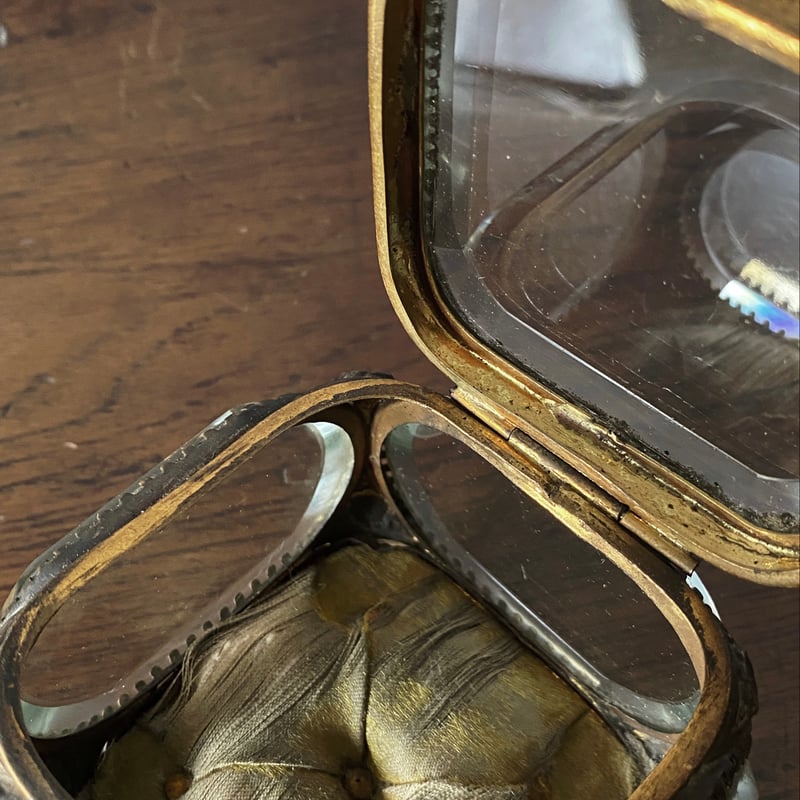 ヒ*シ様 旧二十円明治十年重さ約34.28gケース入り コレクションアンティーク ジュエリーケース 大きめサイズ ビゾテ クリスタル フランス