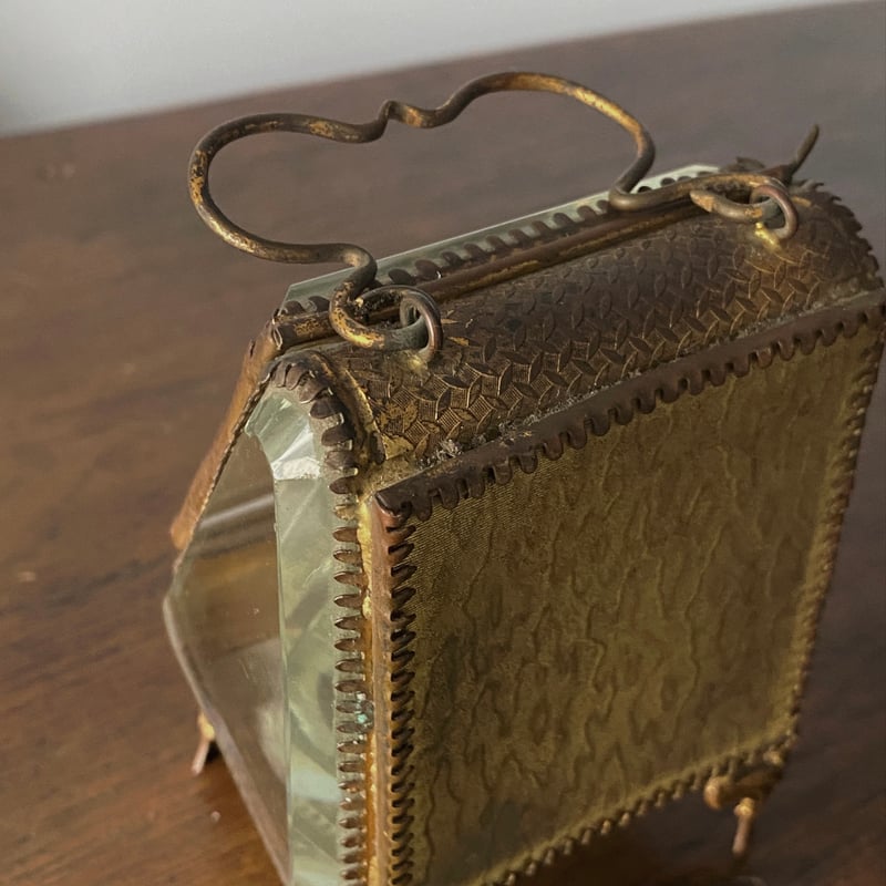 フェーブナポレオンシリーズケース入 【公式通販】