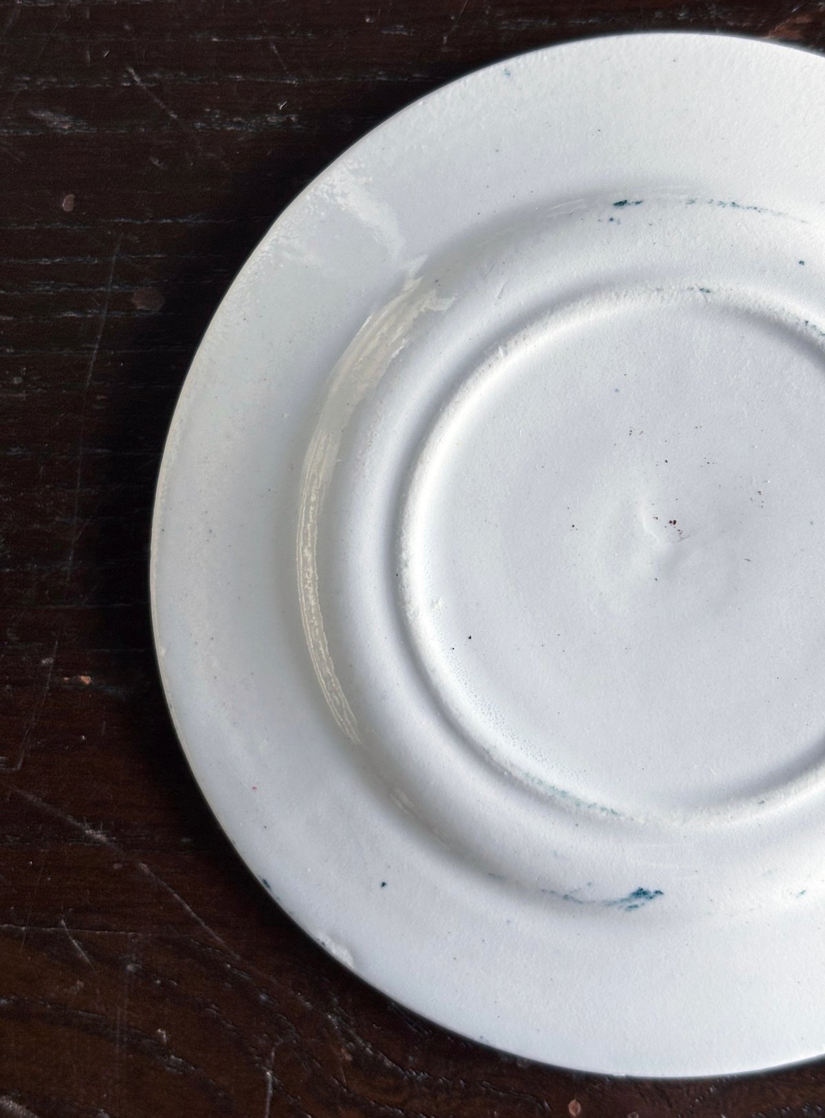 フランスアンティーク リュネビルプレート フランスのリュネビルK&Gの手描ボタニカルディナープレート25.5cm 1900