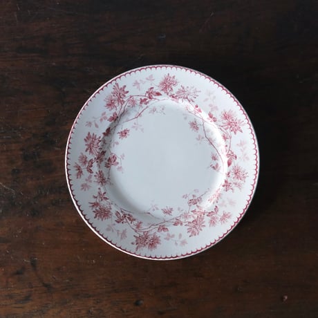 CATEGORY プレート | jinen_antique