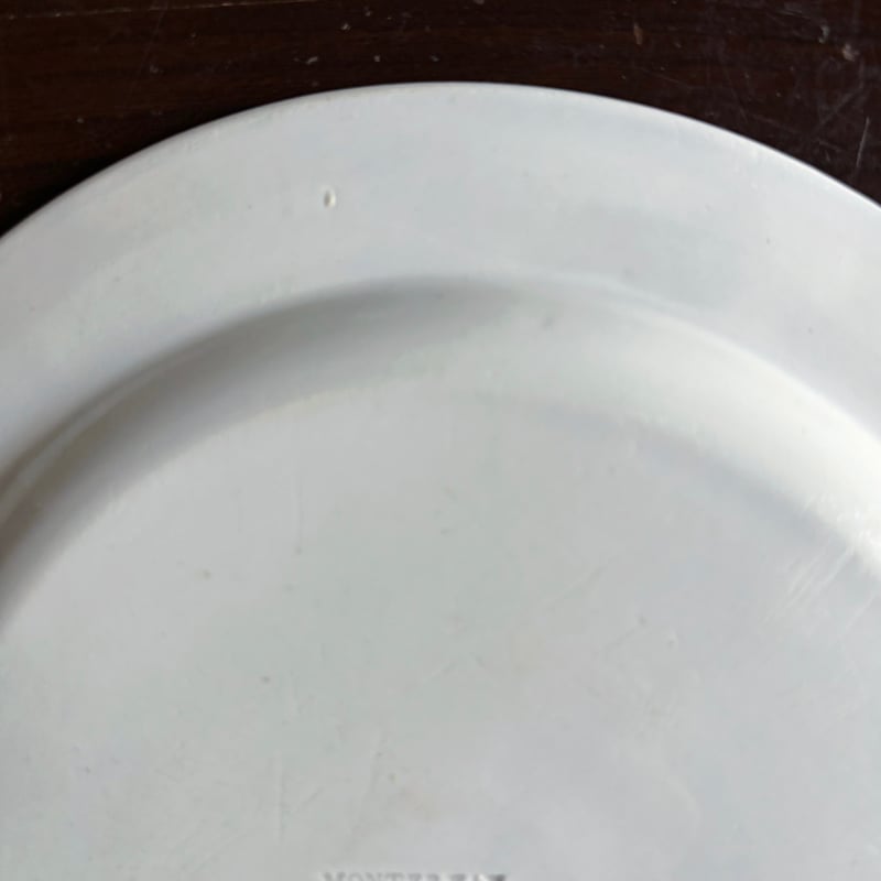 MONTEREAU モントロー シャンソン グリザイユ皿 平皿 ファイアンス