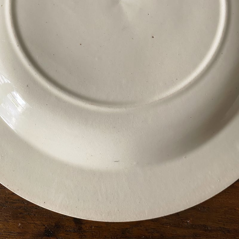 サラン SALINS 深皿 リム皿 φ24.2cm フランス アンティーク a 060003