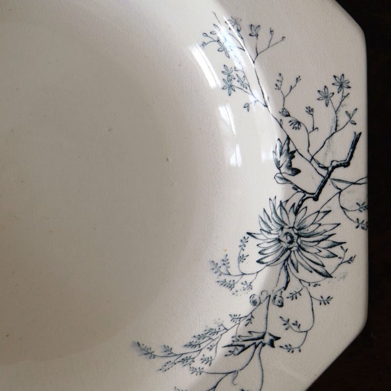 1800年代後期 イギリス M&C ボタニカル柄 オクトゴナル深皿