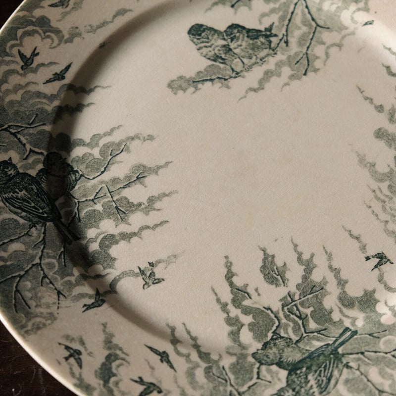 サルグミンヌ ネージュ SARREGUEMINES NEIGE 平皿 リム皿 φ23