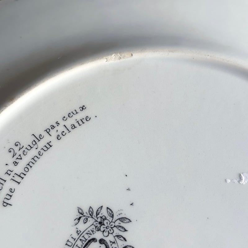 Choisy le roi 彩色 グリザイユ なぞなぞ ディナー皿 φ23.5cm