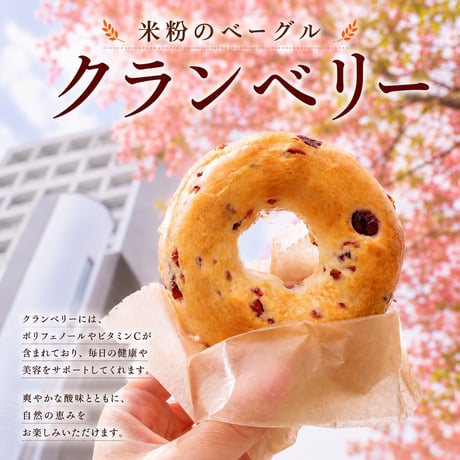 米粉のベーグル（クランベリー）