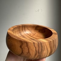 ＜5号＞美しい木茶色に力強いゼブラ柄が特徴　ベリ