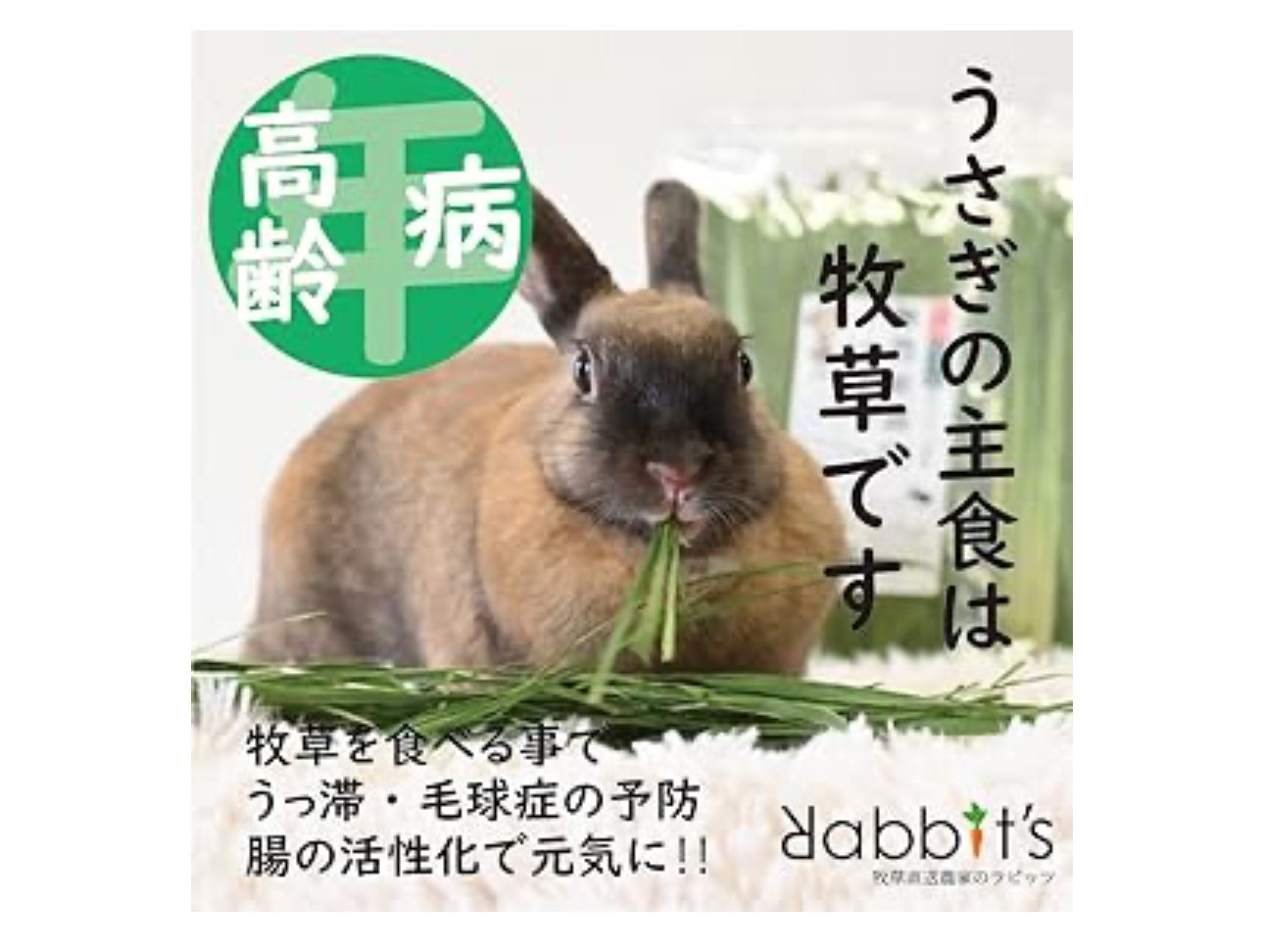 無農薬栽培 オーツヘイ 70g 特選 国内産 | 〜うさんぽショップ