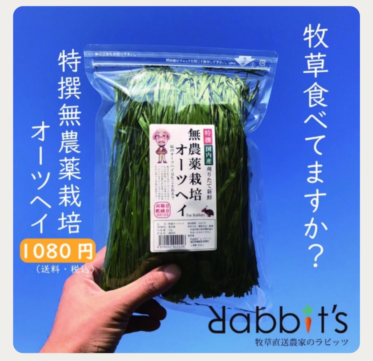 無農薬栽培 オーツヘイ 70g 特選 国内産 | 〜うさんぽショップ