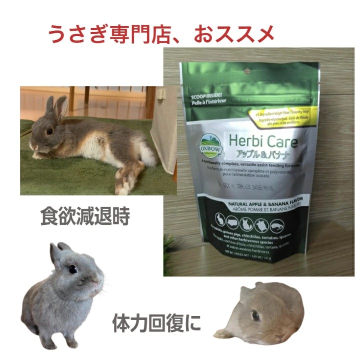 OXBOW クリティカルケア 草食動物流動食 アップルバナナ 141g | 〜う