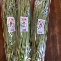 2026年10月頃発売予定　生オーツヘイ　ラビッツ　100g（1袋）