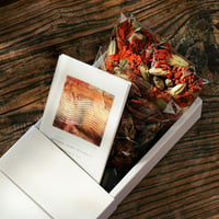 NATURAL PLANT DYEING KIT【KHAKI】