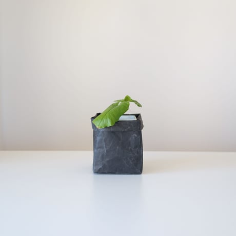 ボックス13×13 ブラック