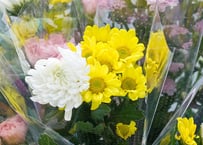 仏花