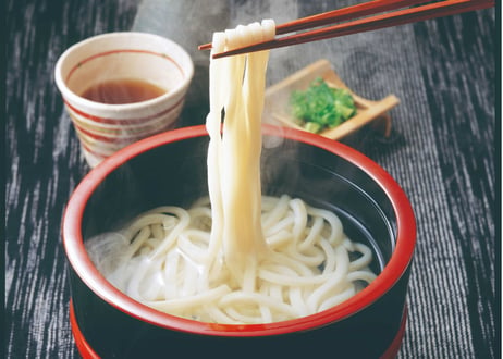 麺始め讃岐うどん
