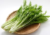 水菜