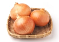 玉ねぎ