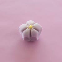 四季の上生菓子2種とちいずけぇき4号