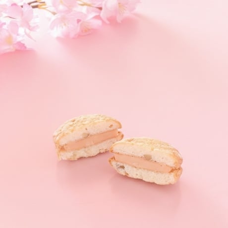 さくらぷっちい