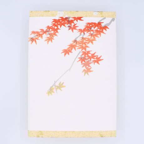 天竜のせせらぎ5