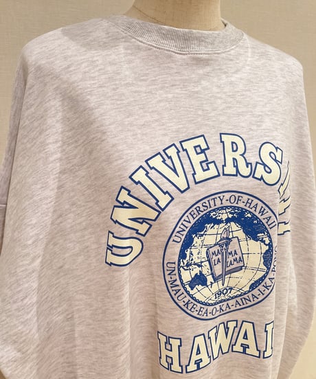UNIVERSITY ロゴスウェット